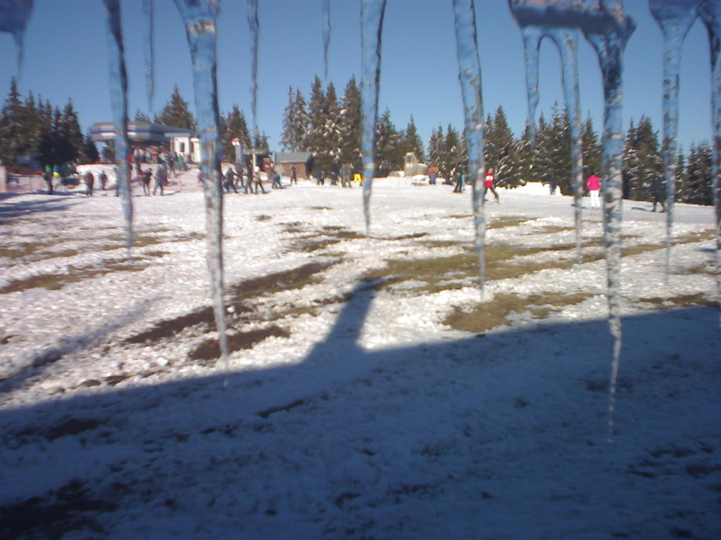 Pamporovo ski resort in Bulgaria ( Pamporova ), Bulgarian Mountain